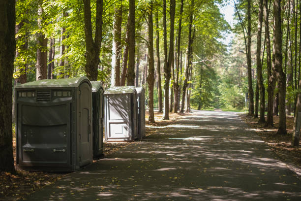 Best Porta potty rental near me  in Alamogordo, NM